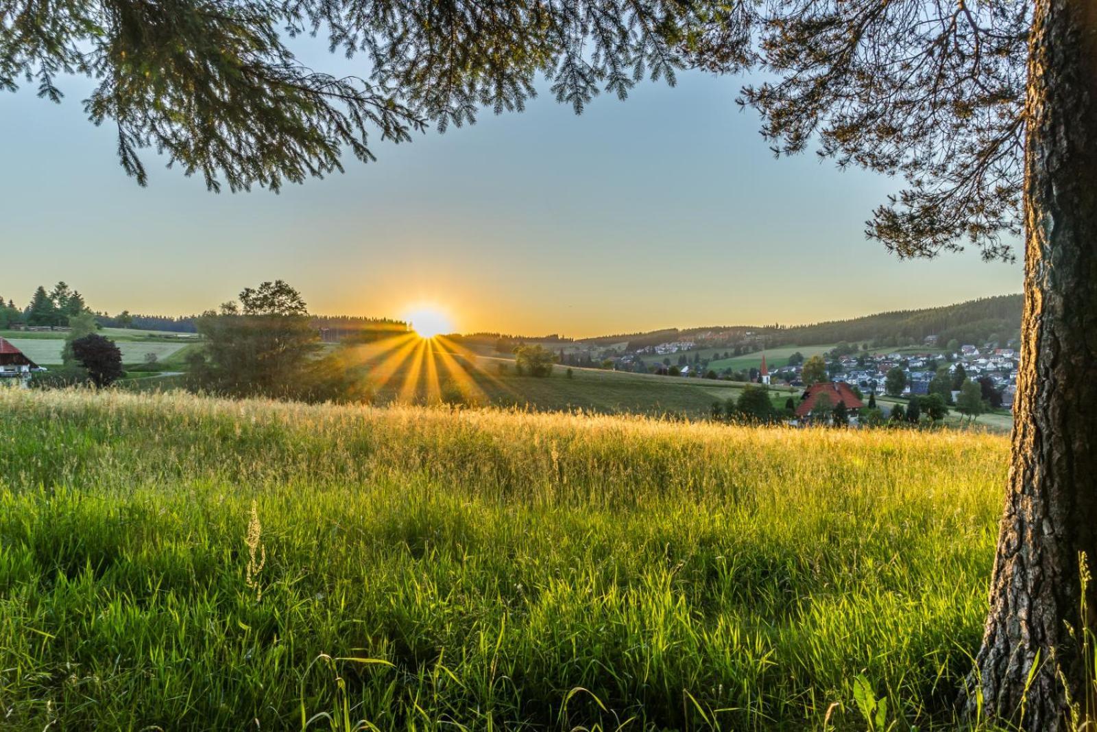 Landhaus Panoramablick Schonach im Schwarzwald Eksteriør billede