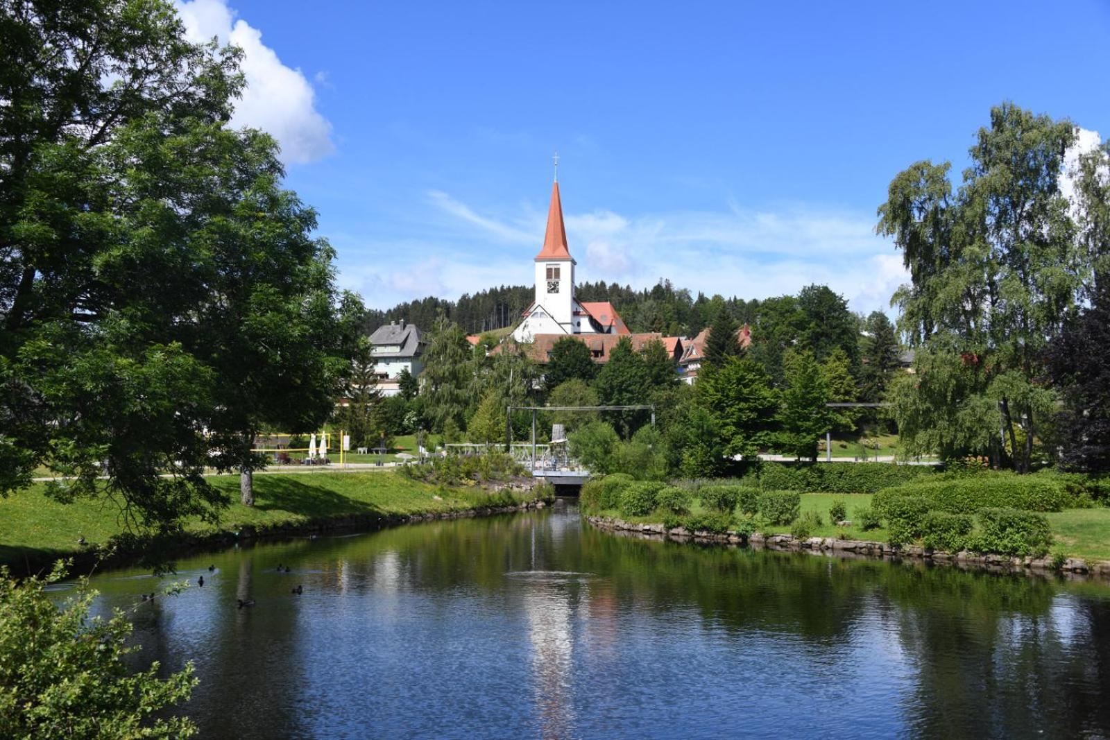 Landhaus Panoramablick Schonach im Schwarzwald Eksteriør billede