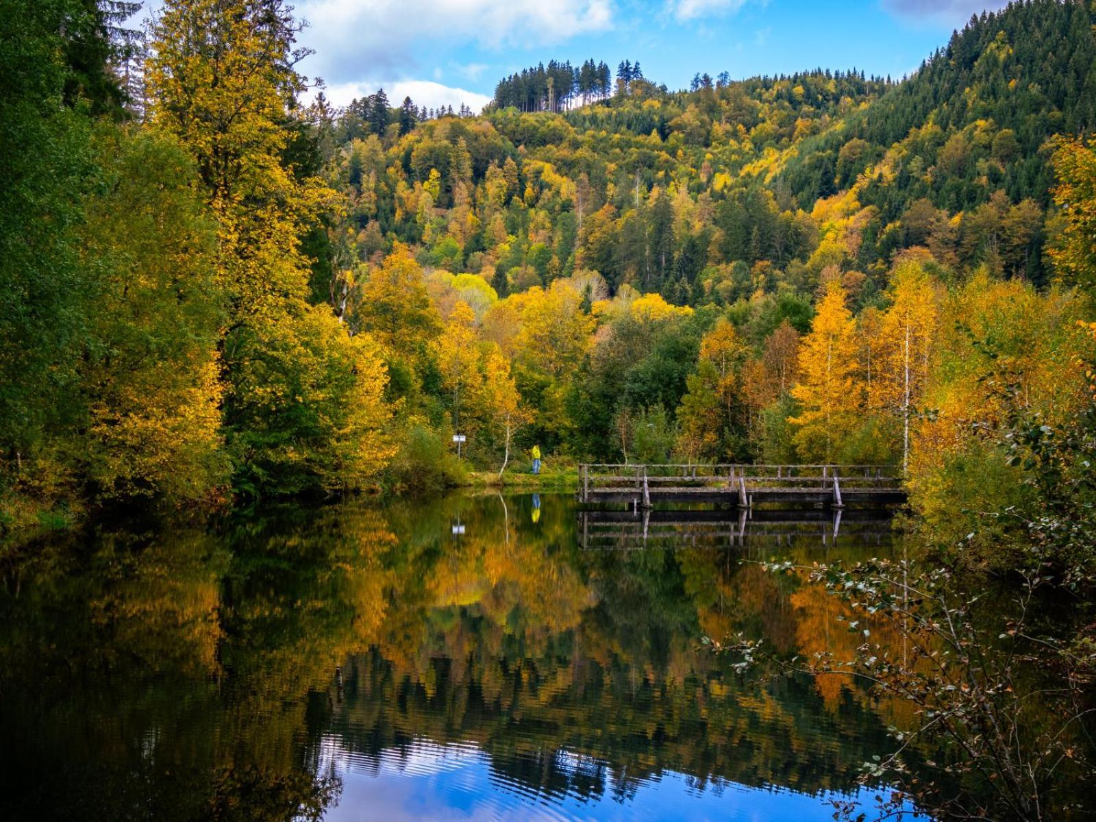 Landhaus Panoramablick Schonach im Schwarzwald Eksteriør billede