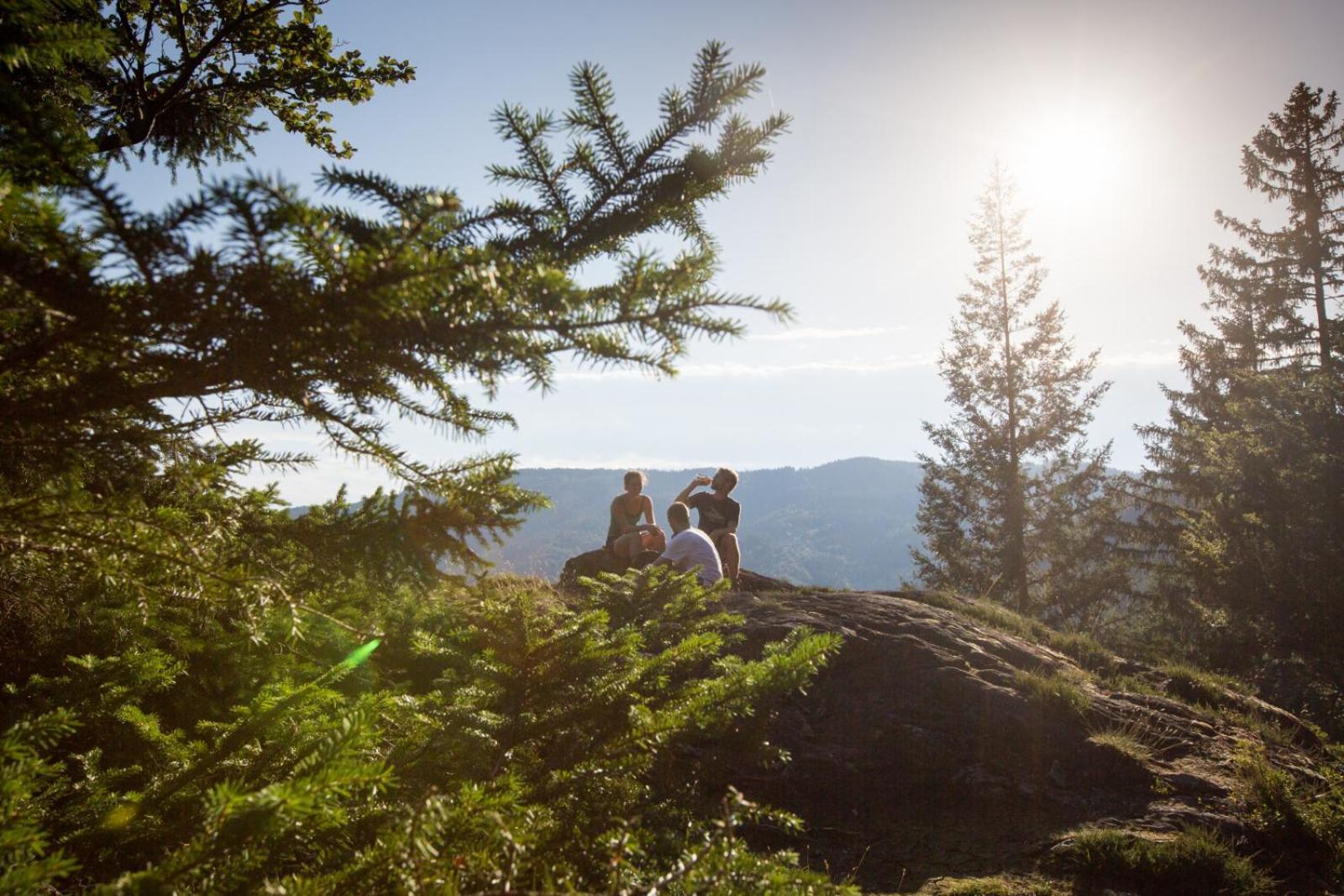 Landhaus Panoramablick Schonach im Schwarzwald Eksteriør billede